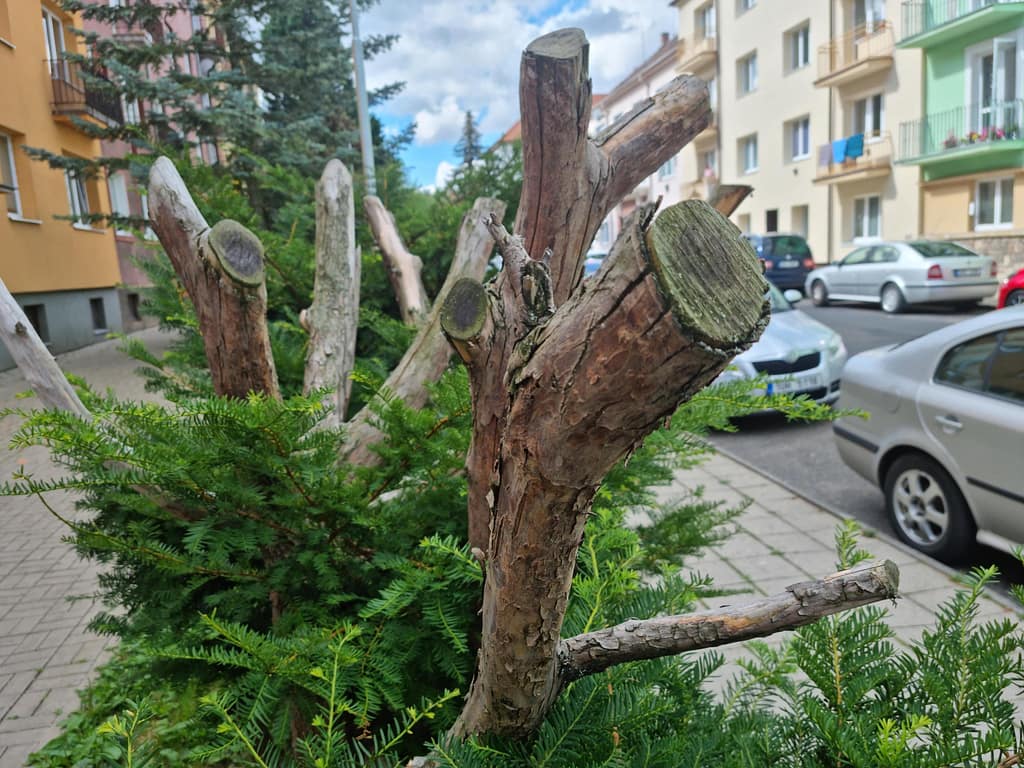 RYCHLOVKA: V LOUNECH VZNIKAJÍ ODBORNOU PÉČÍ O KŘOVINY BIOPROLEJZAČKY 3 signal 2022 07 11 095300 002